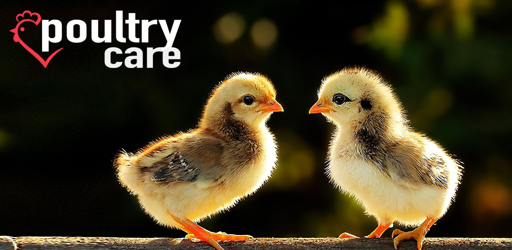 www.poultry.care
